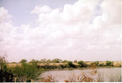 2nd shot of presa grande in spring 2006