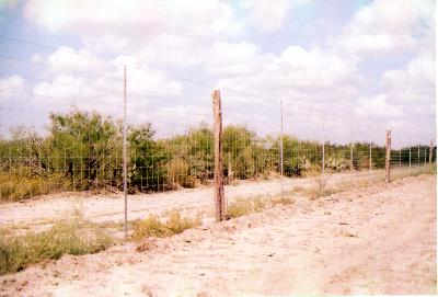 a different angle of the 8' high deer fence one one side of survey 435 covering 5416.68' length 