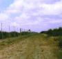 8' tall deer fence