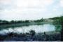a shot of presa grande. there is a deer blind across the presa.