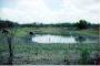 stock tank shared with lanese during drought 
