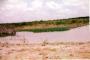 a spot of green at the new stock tank in 500 acres portion of ranch. built in 2003 -- 10,055 cu yards